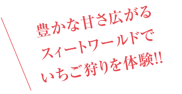 豊かな甘さ広がるスィートワールドでいちご狩りを体験！！